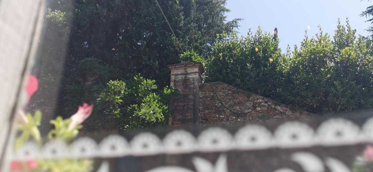 La Maison De Jardin Lucca