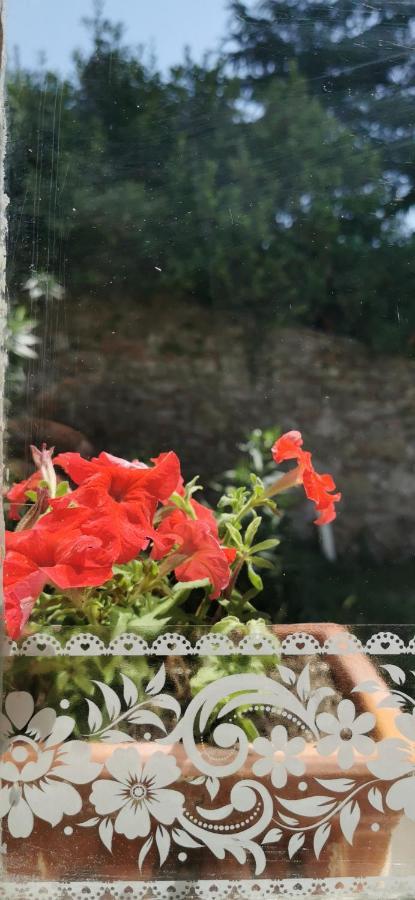 La Maison De Jardin *