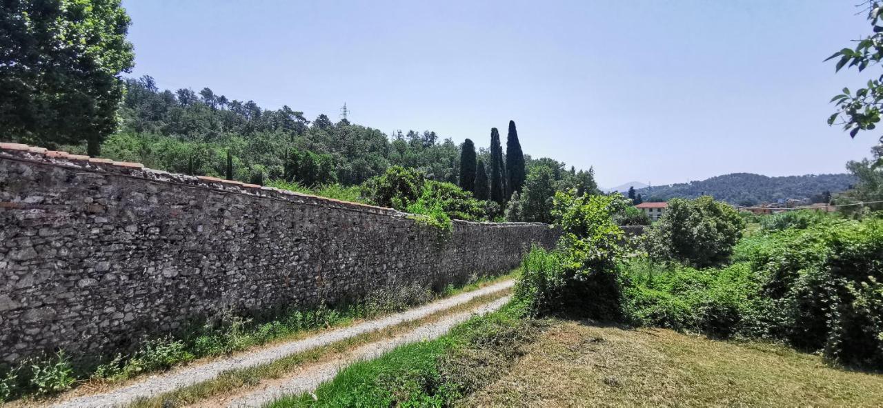 La Maison De Jardin