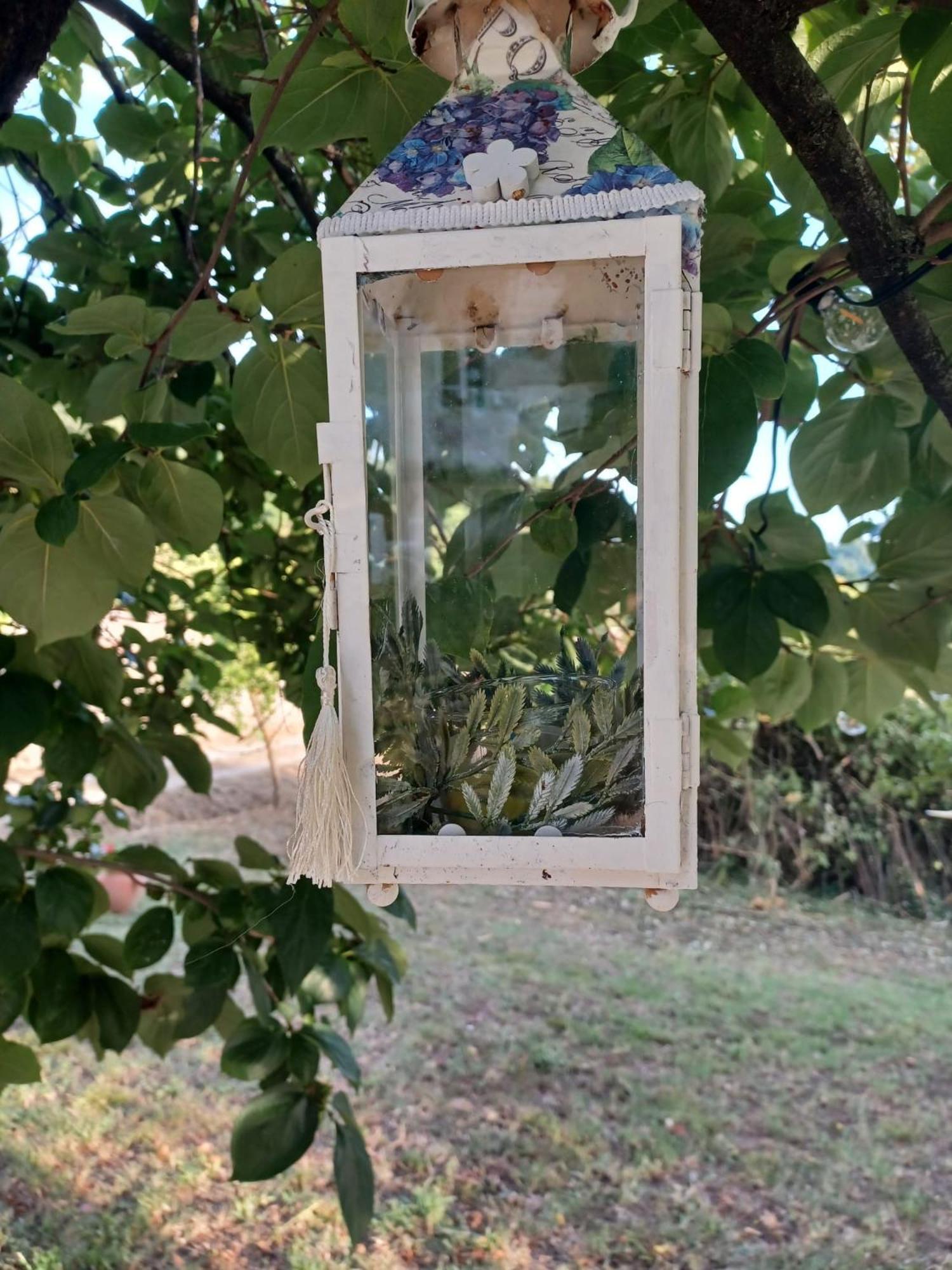 La Maison De Jardin Maison d'hôtes *
