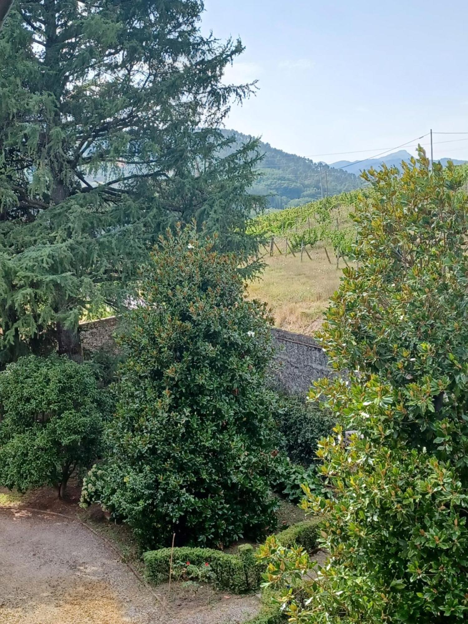 La Maison De Jardin Lucca