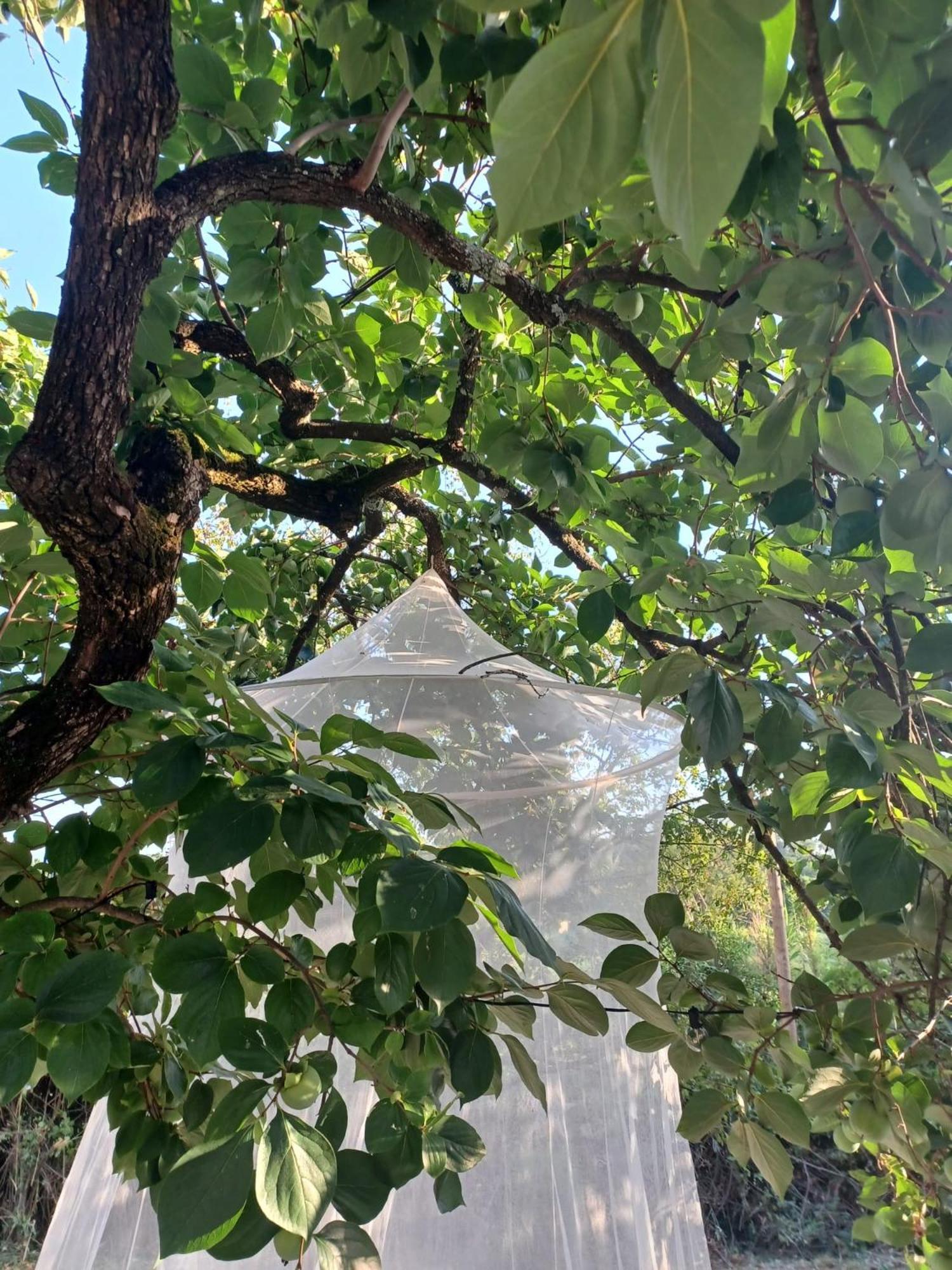La Maison De Jardin *